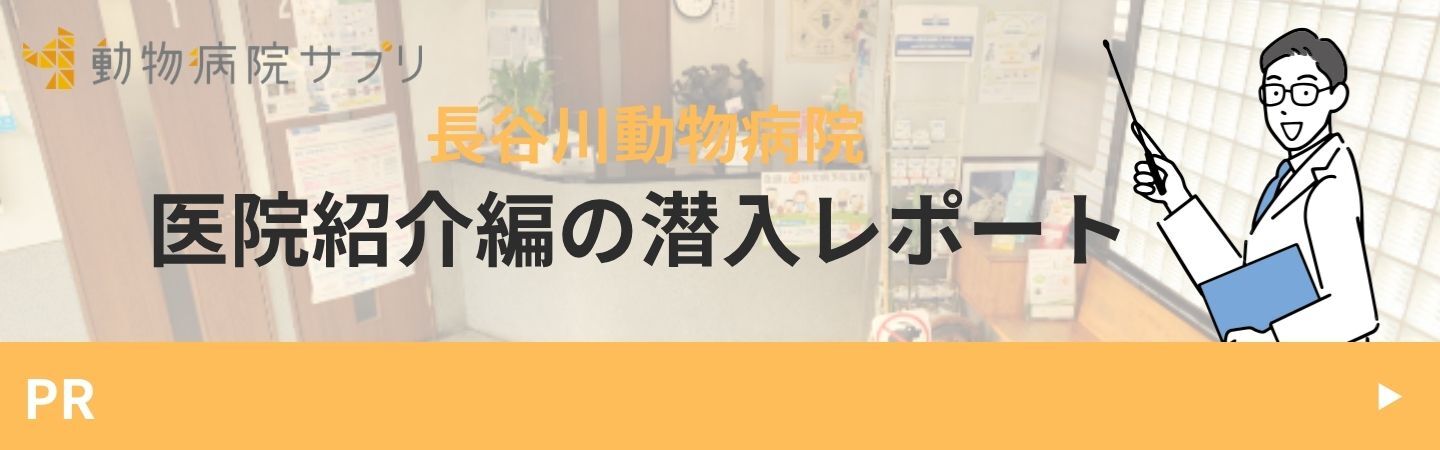 長谷川動物病院 医院紹介編